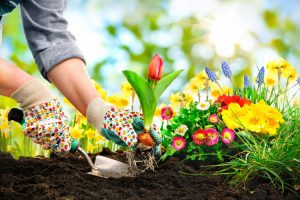 Planting services in London