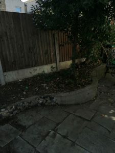 Garden Clearance in South East London