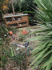 Garden Clearance in Enfield, North London